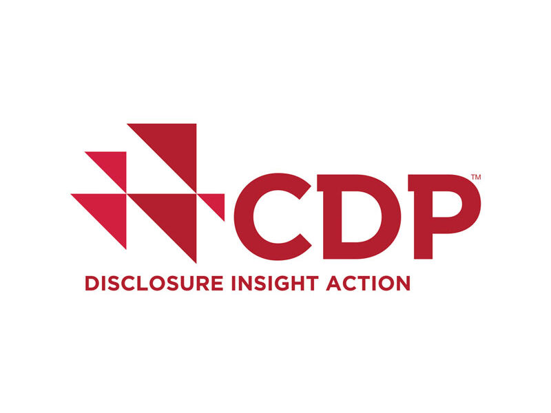 CDP logo