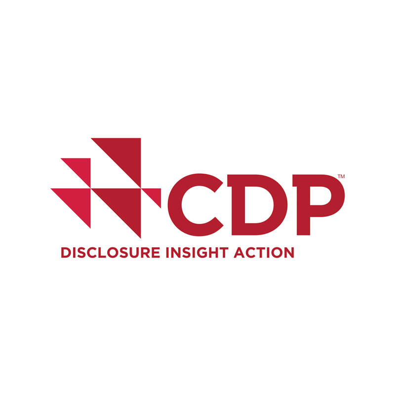 CDP logo