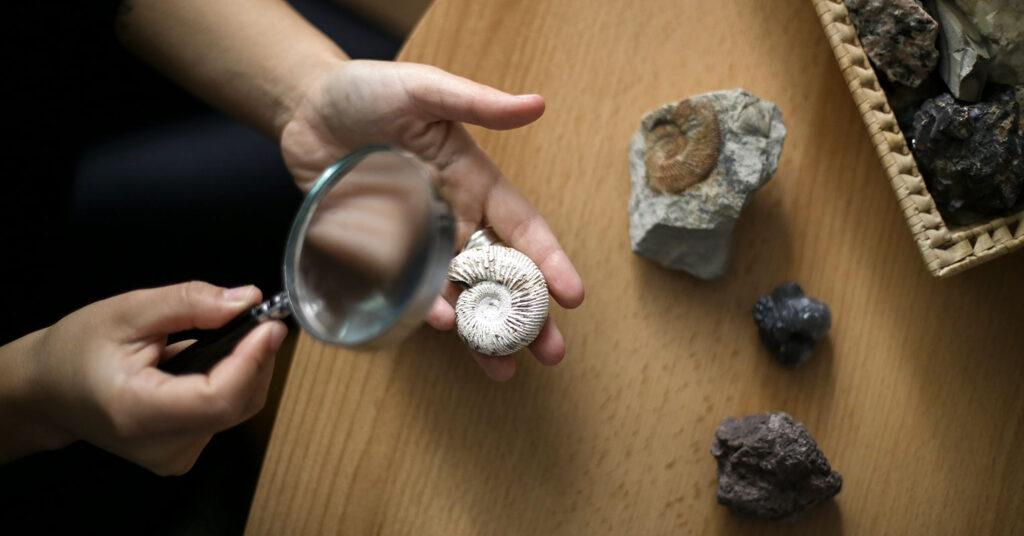 A person examines a fossil with a magnifying glass.